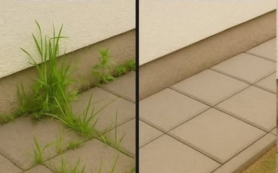 Cómo eliminar la hierba de tu casa 🏡