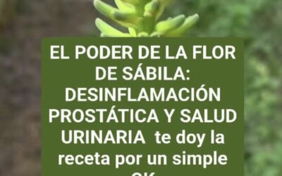 EL PODER DE LA FLOR DE SABILA