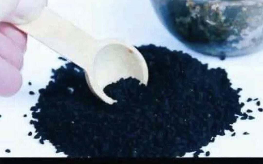 Comino negro