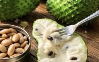 La semilla más Milagrosa