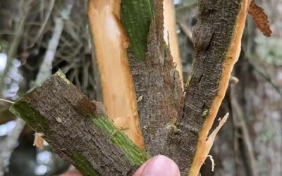 No sufra más en silencio