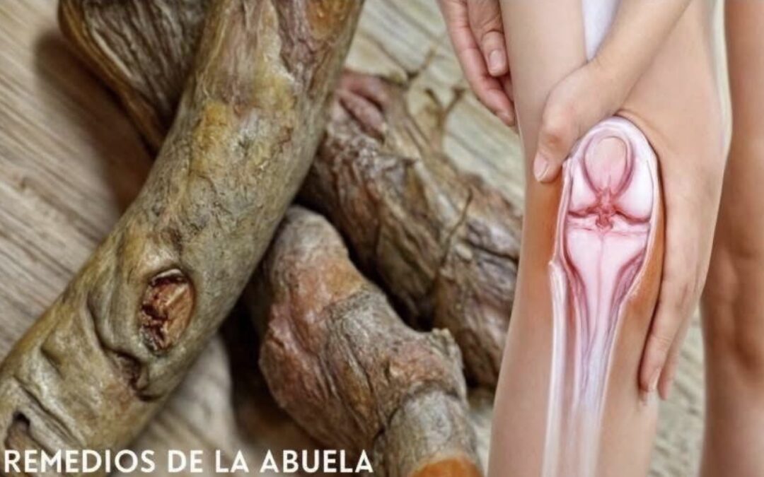 La raíz milagrosa