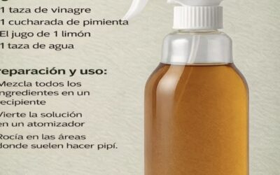 Dile adiós a  el olor de orina de tus perros y gatos