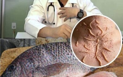 RAZONES POR LAS QUE NO DEBES COMER TILAPIA
