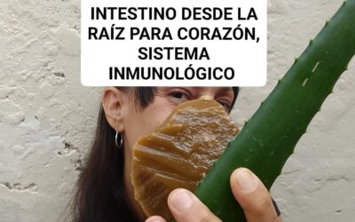 EL SECRETO ANCESTRAL DE MI ABUELA REVELADO EL FERMENTO DE ORO QUE SANARÁ TU INTESTINO DESDE LA RAÍZ